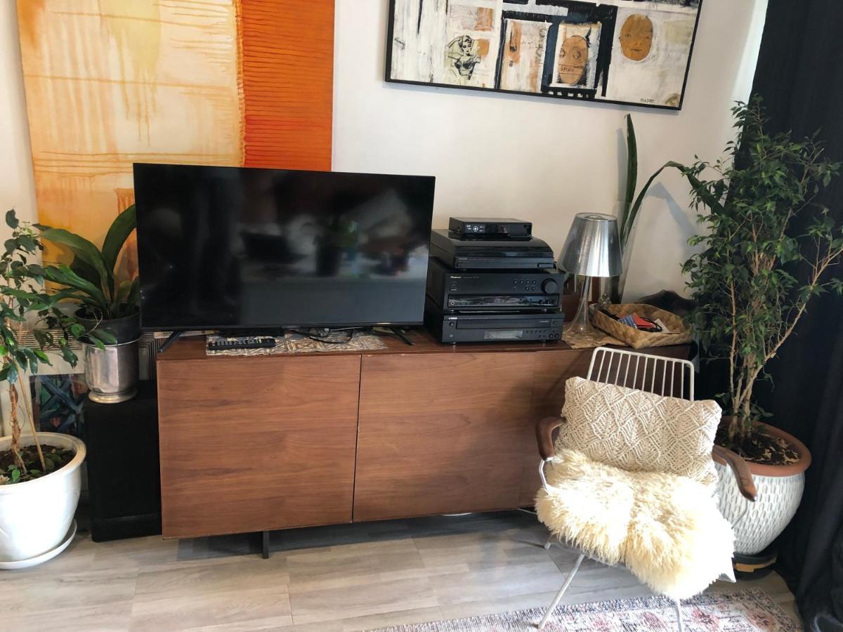 Cool Apartment, Central To Everything, Share With 2X Bulldogs Auckland Exteriér fotografie